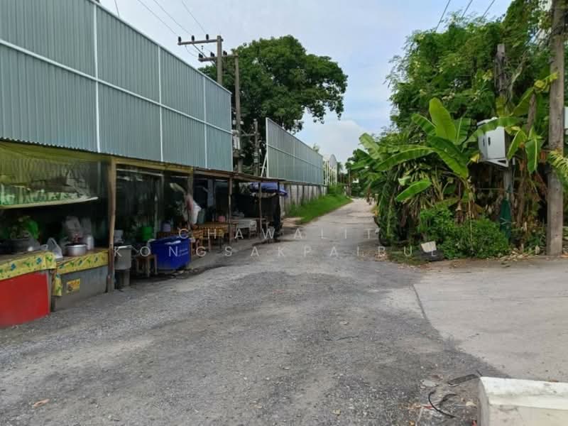 and for sale, 100 square wa, on Thanya-Lam Luk Ka Road, Khlong 7, Pathum Thani, รังสิต-นครนายก, Rangsit, Thanyaburi, Pathum Thani, , 400 sqm, Land For Sale, by CHAWALIT KONGSAKPAIBUL, 500322058 - DDproperty.com