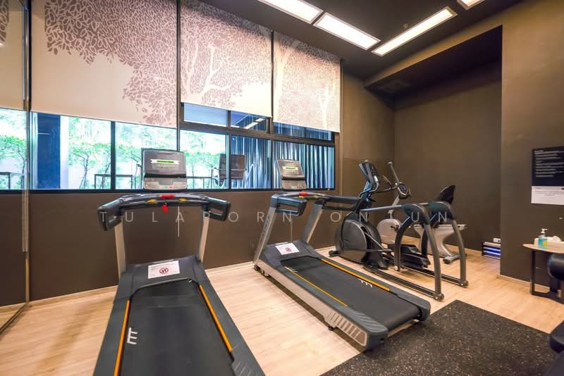 Noble Reveal, Bangkok, 36 Soi Sukhumvit 63, Ekamai Road, Phra Kanong Nua, Watthana, Bangkok, 1 Bedroom, 51 sqm, Condo For Rent, by Tulaporn Onjun, 500322068 - DDproperty.com