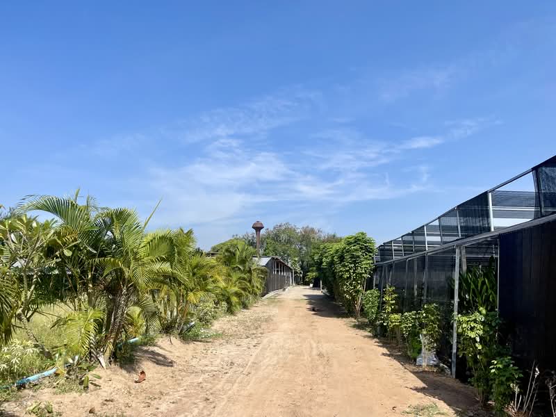 ท่าม่วง, Kanchanaburi, Ban Mai, Tha Muang, Kanchanaburi, , 15,680 sqm, Land For Sale, by ภวดล, 500322189 - DDproperty.com