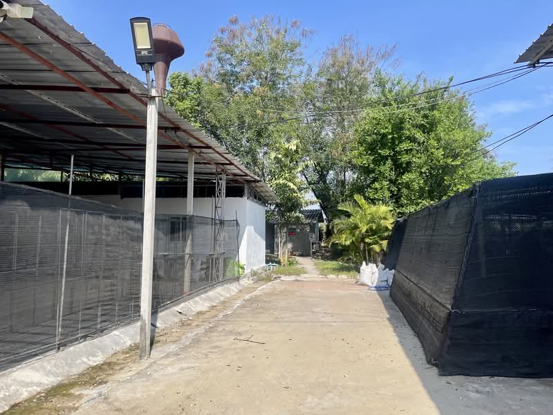 ท่าม่วง, Kanchanaburi, Ban Mai, Tha Muang, Kanchanaburi, , 15,680 sqm, Land For Sale, by ภวดล, 500322189 - DDproperty.com
