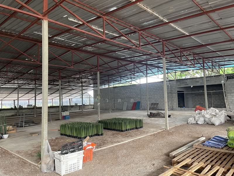 ท่าม่วง, Kanchanaburi, Ban Mai, Tha Muang, Kanchanaburi, , 15,680 sqm, Land For Sale, by ภวดล, 500322189 - DDproperty.com