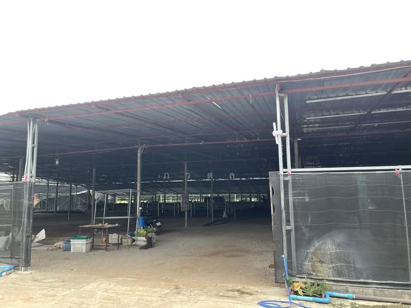 ท่าม่วง, Kanchanaburi, Ban Mai, Tha Muang, Kanchanaburi, , 15,680 sqm, Land For Sale, by ภวดล, 500322189 - DDproperty.com