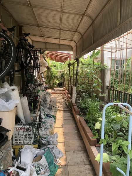 Chonlada Wongwan Rattanathibet : ชลลดา วงแหวน รัตนาธิเบศร์, นนทบุรี, ซอยวัดลาดปลาดุก ถนนบางรักพัฒนา, บางรักพัฒนา, บางบัวทอง, นนทบุรี, 208 ตร.ม., บ้านเดี่ยว ขาย, โดย Itthiwat Chulaolan, 500322217 - DDproperty.com