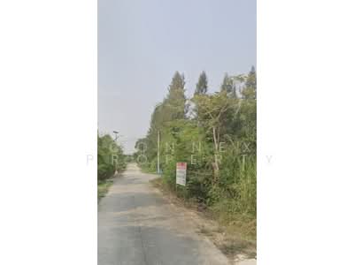 ขาย - ที่ดินเปล่า 1-3-38 สามโคก ปทุมธานี, ปทุมธานี