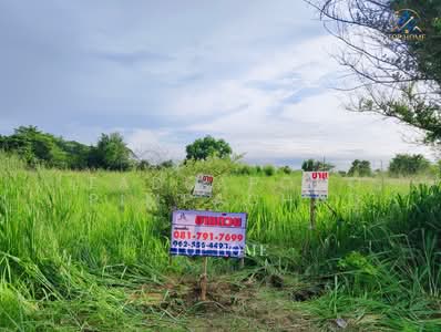 ขาย - ที่ดิน 1 ไร่ ศรีราชา, ชลบุรี