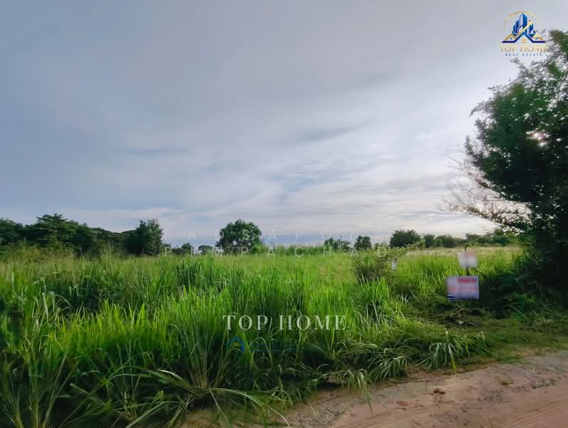 ที่ดิน 1 ไร่ ศรีราชา, ชลบุรี, บึง, ศรีราชา, ชลบุรี, 1,600 ตร.ม., ที่ดิน ขาย, โดย Tadsapong Pimpachad, 500322289 - DDproperty.com