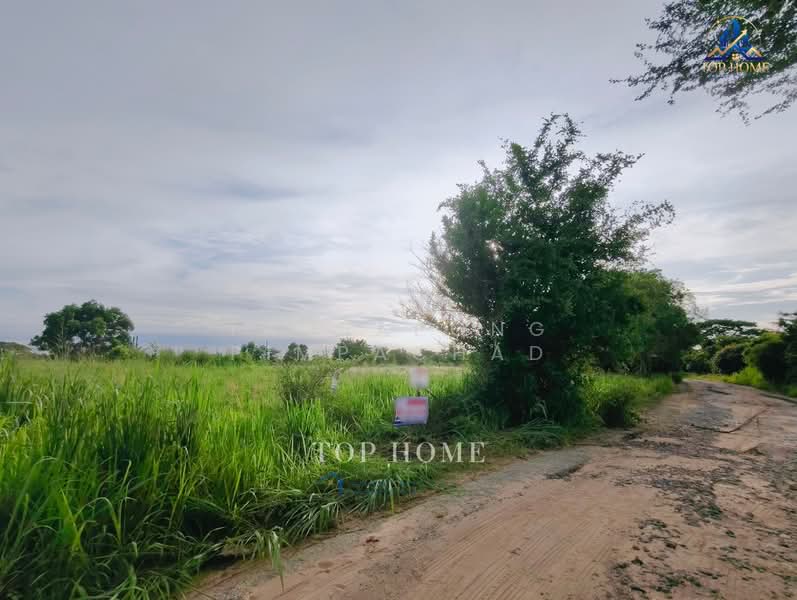 ที่ดิน 1 ไร่ ศรีราชา, Chon Buri (Pattaya), Bueng, Si Racha, Chon Buri (Pattaya), , 1,600 sqm, Land For Sale, by Tadsapong Pimpachad, 500322289 - DDproperty.com