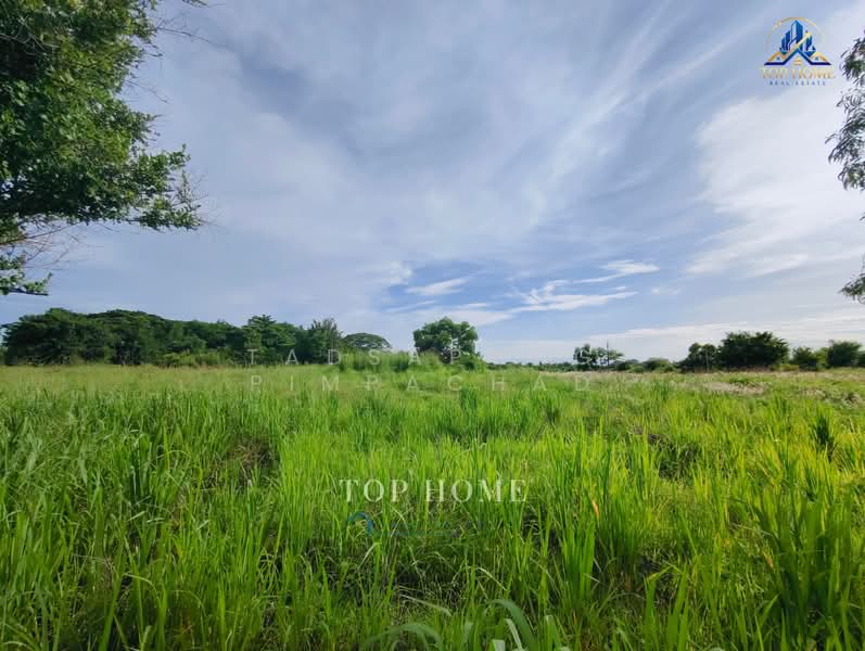 ที่ดิน 1 ไร่ ศรีราชา, Chon Buri (Pattaya), Bueng, Si Racha, Chon Buri (Pattaya), , 1,600 sqm, Land For Sale, by Tadsapong Pimpachad, 500322289 - DDproperty.com