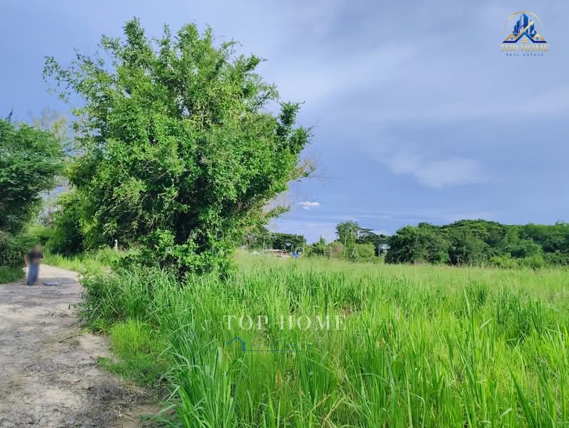 ที่ดิน 1 ไร่ ศรีราชา, Chon Buri (Pattaya), Bueng, Si Racha, Chon Buri (Pattaya), , 1,600 sqm, Land For Sale, by Tadsapong Pimpachad, 500322289 - DDproperty.com
