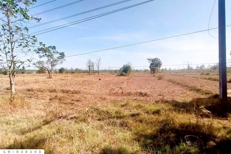 Land plot of 14 rai 196 square wah in Phannanikom, Sakon Nakhon LU-045162, Sakon Nakhon, Ba Hi, Phanna Nikhom, Sakon Nakhon, , 23,184 sqm, Land For Sale, by Benchawarin Pakkawetppisit, 500322624 - DDproperty.com