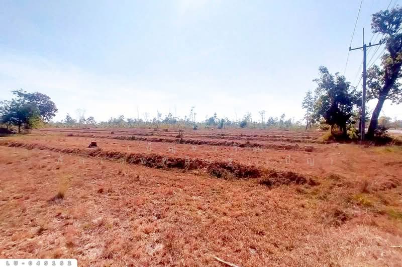 ที่ดินพรรณานิคม 14 ไร่ 196 ตร.ว. สกลนคร ใกล้องค์การบริหารส่วนตำบลบะฮี LU-045162, สกลนคร, บะฮี, พรรณานิคม, สกลนคร, 23,184 ตร.ม., ที่ดิน ขาย, โดย เบ็ญจวริณ ภัคเวทพิสิษฐ์(เบ็ญ), 500322624 - DDproperty.com
