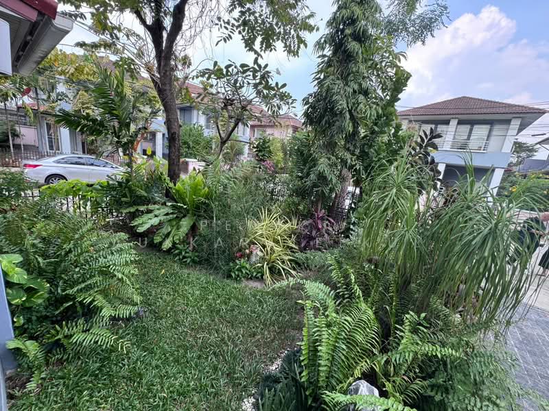 Bangkok Villa, Bangkok, Pradit Manutham Road, Wang Thonglang, Bangkok, 3 Bedrooms, 210 sqm, Single Detached House For Sale, by Pemika Aukkaraleekul, 500322798 - DDproperty.com