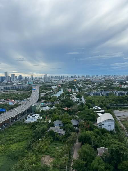 IDEO New Rama 9, Bangkok, 7 Ramkhamhaeng Road, Hua Mak, Bang Kapi, Bangkok, 1 Bedroom, 26 sqm, Condo For Rent, by Kang-Kang Klangnok, 500322875 - DDproperty.com
