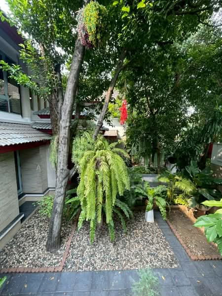 3-BR House, Bangkok, Saphan Song, Wang Thonglang, Bangkok, 3 Bedrooms, 4 sqm, Single Detached House For Sale, by Pemika Aukkaraleekul, 500323158 - DDproperty.com