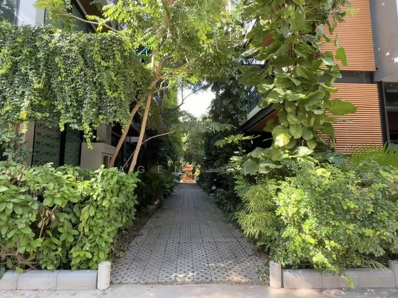 For Rent: 3-Story Standalone Office Building on Soi Lasalle, Sukhumvit 105 (SPSAD3995), Bangkok, Bang Na, Bangkok, , 590 sqm, Office Space For Rent, by Agent Pla, 500323169 - DDproperty.com