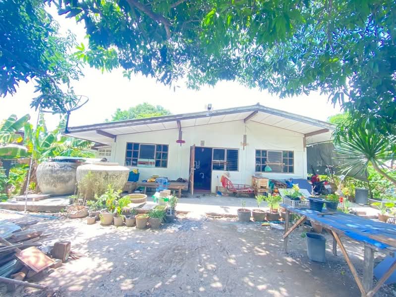 บ้านเดี่ยว + ที่ดิน 1 ชั้น 187 ตร.ว. ใกล้บริษัท ฤทธา จำกัด (โกดังคลอง 12 แห่งใหม่), ปทุมธานี, ถนนรังสิต-นครนายก, หนองสามวัง, หนองเสือ, ปทุมธานี, 200 ตร.ม., บ้านเดี่ยว ขาย, โดย คุณ กัญญ์ชญา คารมดี (จิ๋ว), 500323303 - DDproperty.com