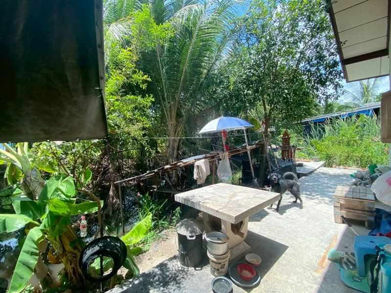 บ้านเดี่ยว + ที่ดิน 1 ชั้น 187 ตร.ว. ใกล้บริษัท ฤทธา จำกัด (โกดังคลอง 12 แห่งใหม่), ปทุมธานี, ถนนรังสิต-นครนายก, หนองสามวัง, หนองเสือ, ปทุมธานี, 200 ตร.ม., บ้านเดี่ยว ขาย, โดย คุณ กัญญ์ชญา คารมดี (จิ๋ว), 500323303 - DDproperty.com