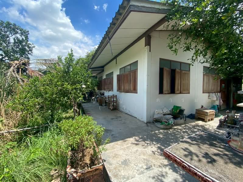 บ้านเดี่ยว + ที่ดิน 1 ชั้น 187 ตร.ว. ใกล้บริษัท ฤทธา จำกัด (โกดังคลอง 12 แห่งใหม่), ปทุมธานี, ถนนรังสิต-นครนายก, หนองสามวัง, หนองเสือ, ปทุมธานี, 200 ตร.ม., บ้านเดี่ยว ขาย, โดย คุณ กัญญ์ชญา คารมดี (จิ๋ว), 500323303 - DDproperty.com