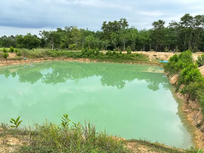 ที่ดินมะขาม จันทบุรี, Chanthaburi, Wang Saem, Makham, Chanthaburi, , 17,924 sqm, Land For Sale, by The Best Property เจ, 500323310 - DDproperty.com