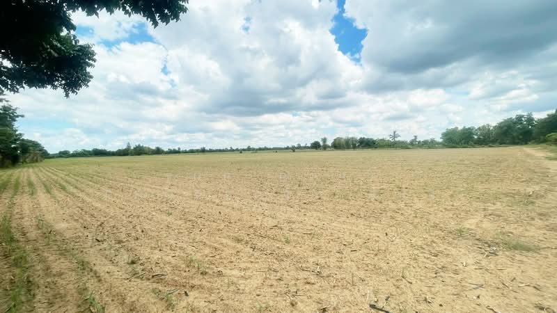 ที่ดินหนองกรด นครสวรรค์, Nakhon Sawan, Nong Krot, Muang Nakhon Sawan, Nakhon Sawan, , 45,056 sqm, Land For Sale, by The Best Property แป้ง, 500323365 - DDproperty.com