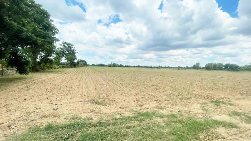 ที่ดินหนองกรด นครสวรรค์, Nakhon Sawan, Nong Krot, Muang Nakhon Sawan, Nakhon Sawan, , 45,056 sqm, Land For Sale, by The Best Property แป้ง, 500323365 - DDproperty.com