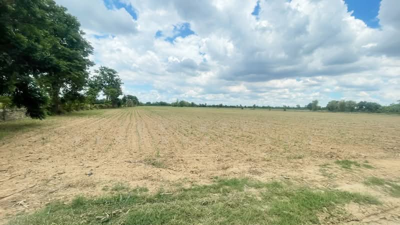 ที่ดินหนองกรด นครสวรรค์, Nakhon Sawan, Nong Krot, Muang Nakhon Sawan, Nakhon Sawan, , 45,056 sqm, Land For Sale, by The Best Property แป้ง, 500323365 - DDproperty.com