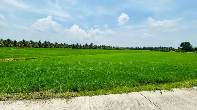 ที่ดินวัดเพลง ราชบุรี, Ratchaburi, Chom Prathat, Wat Phleng, Ratchaburi, , 26,608 sqm, Land For Sale, by The Best Property แอม, 500323512 - DDproperty.com