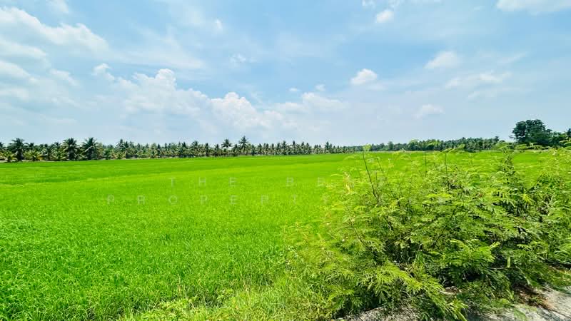 ที่ดินวัดเพลง ราชบุรี, Ratchaburi, Chom Prathat, Wat Phleng, Ratchaburi, , 26,608 sqm, Land For Sale, by The Best Property แอม, 500323512 - DDproperty.com