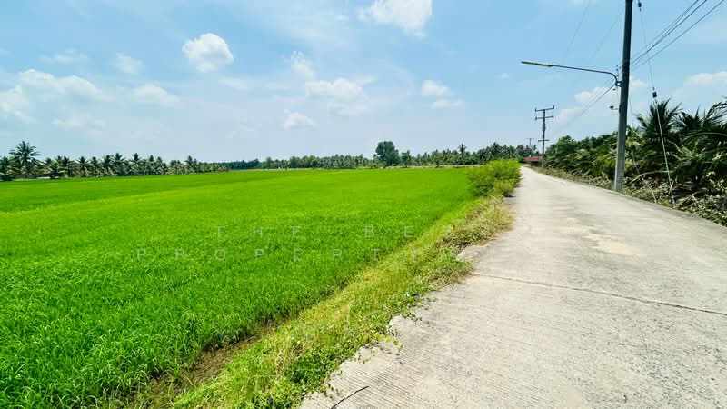 ที่ดินวัดเพลง ราชบุรี, Ratchaburi, Chom Prathat, Wat Phleng, Ratchaburi, , 26,608 sqm, Land For Sale, by The Best Property แอม, 500323512 - DDproperty.com