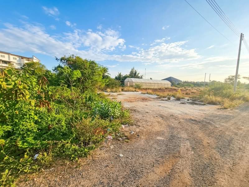 ที่ดินบางแก้ว สมุทรสงคราม, Samut Songkhram, Bang Kaeo, Muang Samut Songkhram, Samut Songkhram, , 444 sqm, Land For Sale, by The Best Property   อิ๋ว, 500323693 - DDproperty.com