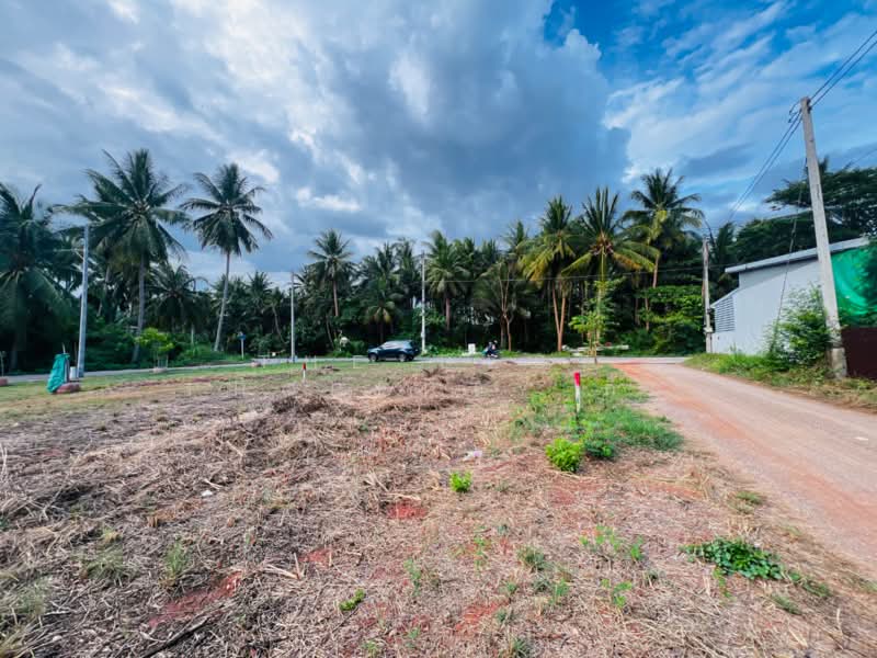 ที่ดินท้ายหาด สมุทรสงคราม, Samut Songkhram, Thai Hat, Muang Samut Songkhram, Samut Songkhram, , 428 sqm, Land For Sale, by The Best Property กิ๊ก, 500323719 - DDproperty.com