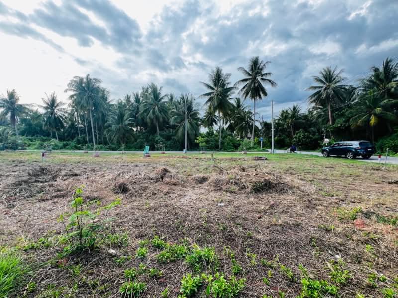 ที่ดินท้ายหาด สมุทรสงคราม, สมุทรสงคราม, ท้ายหาด, เมืองสมุทรสงคราม, สมุทรสงคราม, 428 ตร.ม., ที่ดิน ขาย, โดย The Best Property กิ๊ก, 500323719 - DDproperty.com