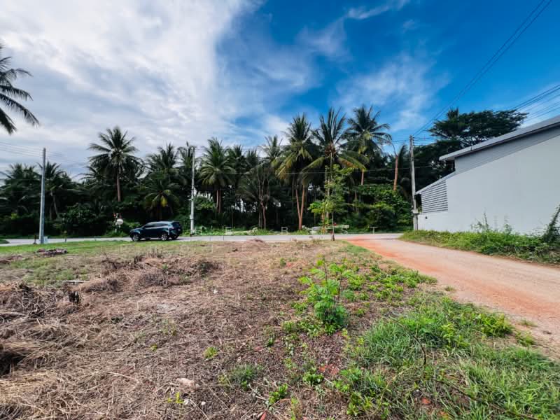 ที่ดินท้ายหาด สมุทรสงคราม, Samut Songkhram, Thai Hat, Muang Samut Songkhram, Samut Songkhram, , 428 sqm, Land For Sale, by The Best Property กิ๊ก, 500323719 - DDproperty.com