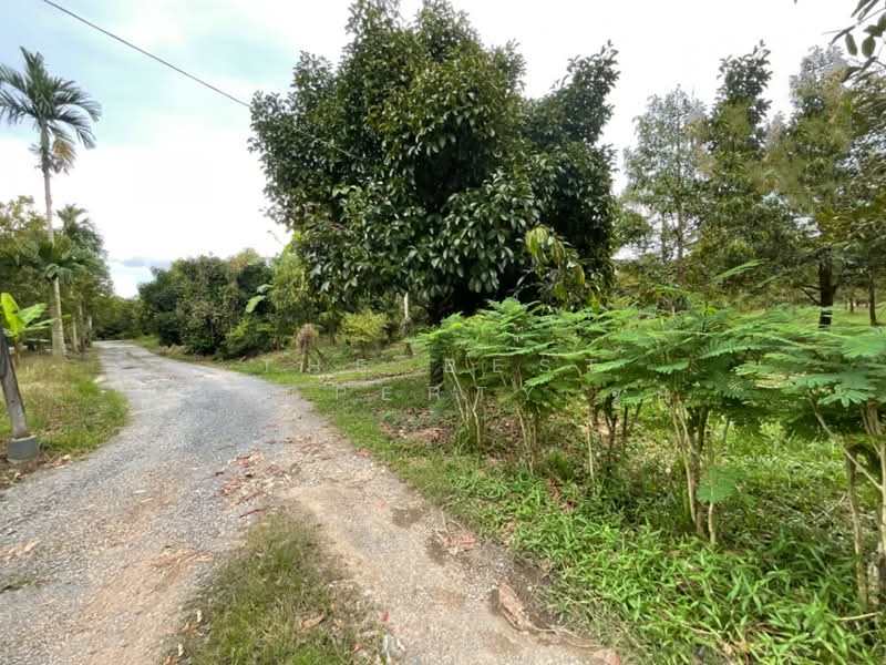 ที่ดินมะขาม จันทบุรี, จันทบุรี, มะขาม, จันทบุรี, 4,800 ตร.ม., ที่ดิน ขาย, โดย The Best Property จุ้ย, 500323785 - DDproperty.com