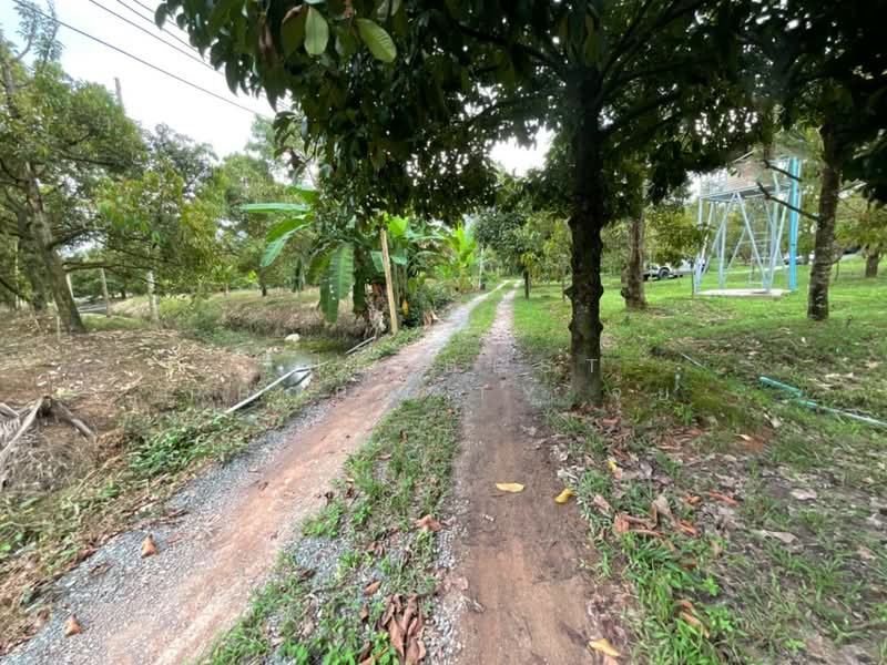 ที่ดินมะขาม จันทบุรี, จันทบุรี, มะขาม, จันทบุรี, 4,800 ตร.ม., ที่ดิน ขาย, โดย The Best Property จุ้ย, 500323785 - DDproperty.com