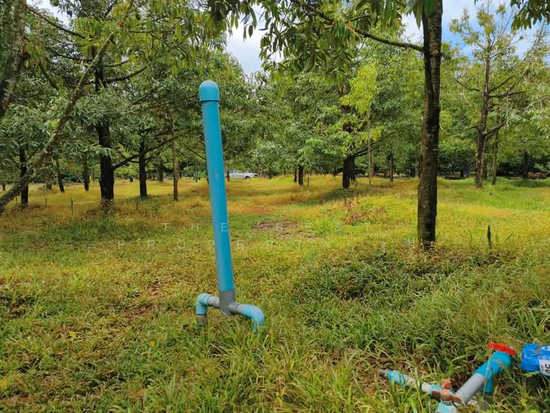 ที่ดินมะขาม จันทบุรี, Chanthaburi, Makham, Chanthaburi, , 4,800 sqm, Land For Sale, by The Best Property จุ้ย, 500323785 - DDproperty.com