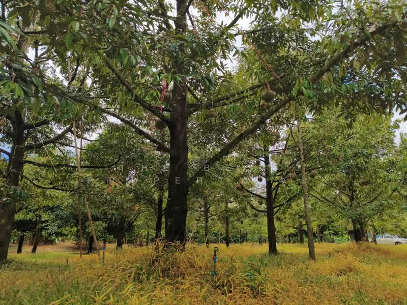 ที่ดินมะขาม จันทบุรี, จันทบุรี, มะขาม, จันทบุรี, 4,800 ตร.ม., ที่ดิน ขาย, โดย The Best Property จุ้ย, 500323785 - DDproperty.com