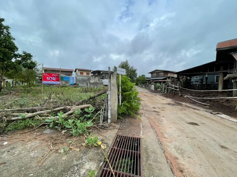 ที่ดินบ้านไผ่ ขอนแก่น, Khon Kaen, Nai Muang, Ban Phai, Khon Kaen, , 520 sqm, Land For Sale, by The Best Property อัคร, 500323854 - DDproperty.com