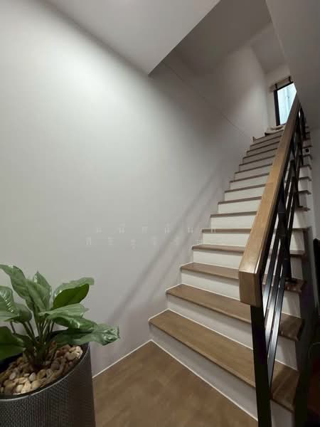 Baan Klang Muang Sukhumvit-Onnut : บ้านกลางเมือง สุขุมวิท อ่อนนุช, กรุงเทพ, Soi On Nut 70/1, ประเวศ, กรุงเทพ, 140 ตร.ม., ทาวน์เฮ้าส์ ขาย, โดย มนัสนันท์ สิริรุจิรัตน์, 500323920 - DDproperty.com