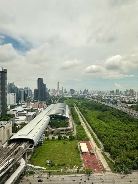 Life Asoke, Bangkok, Asoke-Dindang Road, Bang Kapi, Huai Khwang, Bangkok, 1 Bedroom, 30 sqm, Condo For Rent, by Najawa Salae, 500324023 - DDproperty.com