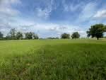 ที่ดินบ้านไผ่ ขอนแก่น, ขอนแก่น