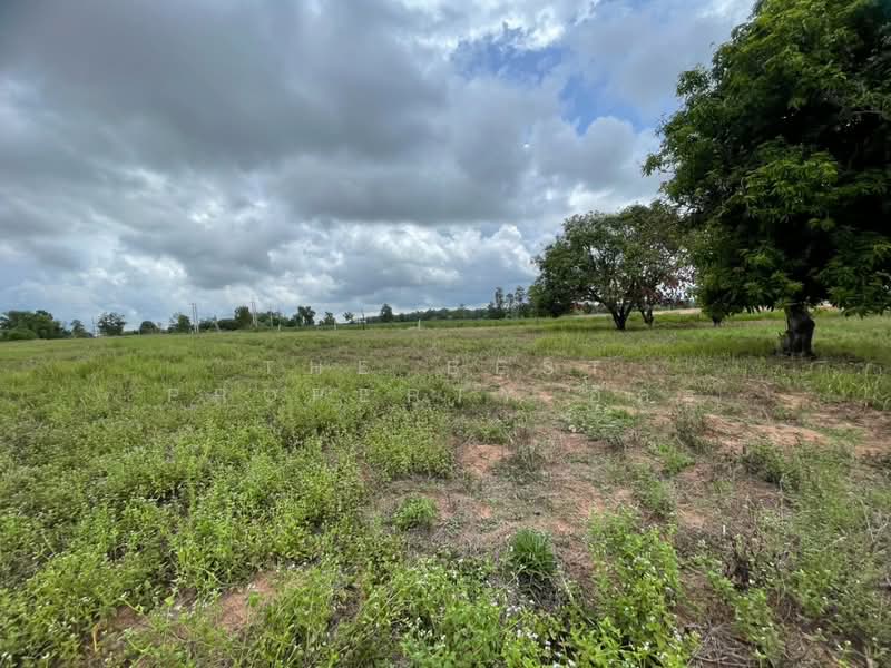 ที่ดินบ้านไผ่ ขอนแก่น, ขอนแก่น, ในเมือง, บ้านไผ่, ขอนแก่น, 17,836 ตร.ม., ที่ดิน ขาย, โดย The Best Property อัคร, 500324050 - DDproperty.com