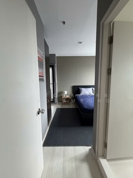 Life Sukhumvit 48, Bangkok, Soi Sukhumvit 48, Phra Kanong, Khlong Toei, Bangkok, 2 Bedrooms, 70 sqm, Condo For Rent, by Phitchaporn Kongsamrong, 500324168 - DDproperty.com