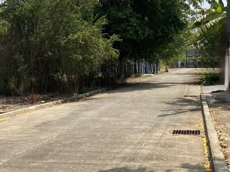Baan Krisadanakon 25 : บ้านกฤษดานคร 25, กรุงเทพ, ทรายกองดินใต้, คลองสามวา, กรุงเทพ, 1,500 ตร.ม., ที่ดิน ขาย, โดย พงศ์ธรรศ อรุณศิริสกุล, 500324228 - DDproperty.com