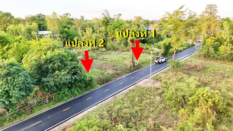 ที่ดิน อำเภอศรีเมืองใหม่ จังหวัดอุบลราชธานี ใกล้โรงเรียนศรีเมืองวิทยาคาร, Ubon Ratchathani, Na Kam, Si Muang Mai, Ubon Ratchathani, , 400 sqm, Land For Sale, by ยุภาพร ศุภผลา, 500324524 - DDproperty.com