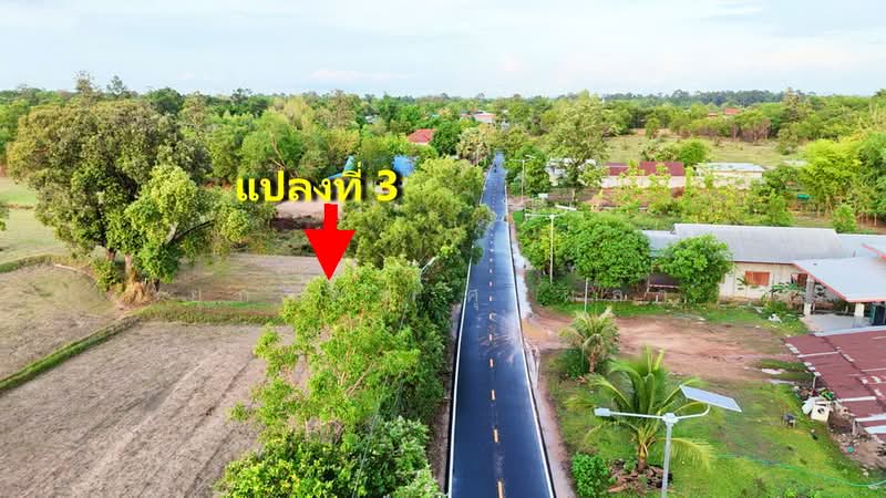 ที่ดิน อำเภอศรีเมืองใหม่ จังหวัดอุบลราชธานี ใกล้โรงเรียนศรีเมืองวิทยาคาร, Ubon Ratchathani, Na Kam, Si Muang Mai, Ubon Ratchathani, , 400 sqm, Land For Sale, by ยุภาพร ศุภผลา, 500324524 - DDproperty.com