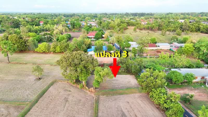 ที่ดิน อำเภอศรีเมืองใหม่ จังหวัดอุบลราชธานี ใกล้โรงเรียนศรีเมืองวิทยาคาร, Ubon Ratchathani, Na Kam, Si Muang Mai, Ubon Ratchathani, , 400 sqm, Land For Sale, by ยุภาพร ศุภผลา, 500324524 - DDproperty.com