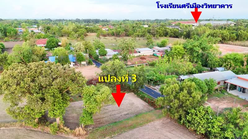 ที่ดิน อำเภอศรีเมืองใหม่ จังหวัดอุบลราชธานี ใกล้โรงเรียนศรีเมืองวิทยาคาร, Ubon Ratchathani, Na Kam, Si Muang Mai, Ubon Ratchathani, , 400 sqm, Land For Sale, by ยุภาพร ศุภผลา, 500324524 - DDproperty.com