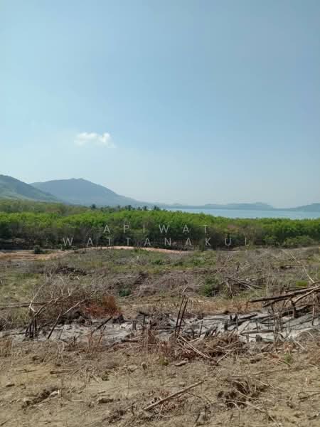 เกาะยาวใหญ่ จังหวัดพังงา, พังงา, เกาะยาวใหญ่, เกาะยาว, พังงา, 41,840 ตร.ม., กิจการ ขาย, โดย Apiwat Wattanakul, 500324585 - DDproperty.com