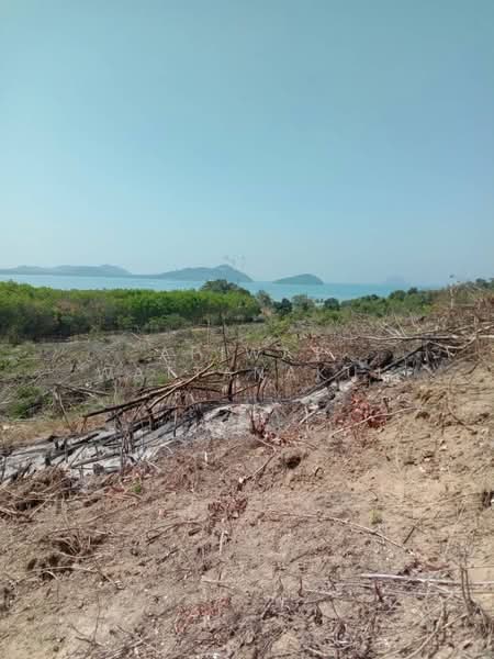 Koh Yao Yai Phang Nga Province, Phangnga, Ko Yao Yai, Ko Yao, Phangnga, , 41,840 sqm, Business For Sale, by Apiwat Wattanakul, 500324585 - DDproperty.com